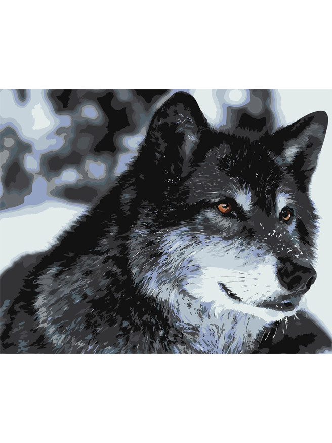 Raqamlar bo&amp;#039;yicha rasm &amp;quot;Bo&amp;#039;ri&amp;quot;