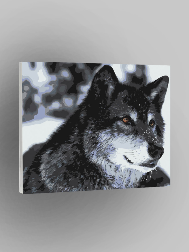 Raqamlar bo&amp;#039;yicha rasm &amp;quot;Bo&amp;#039;ri&amp;quot;