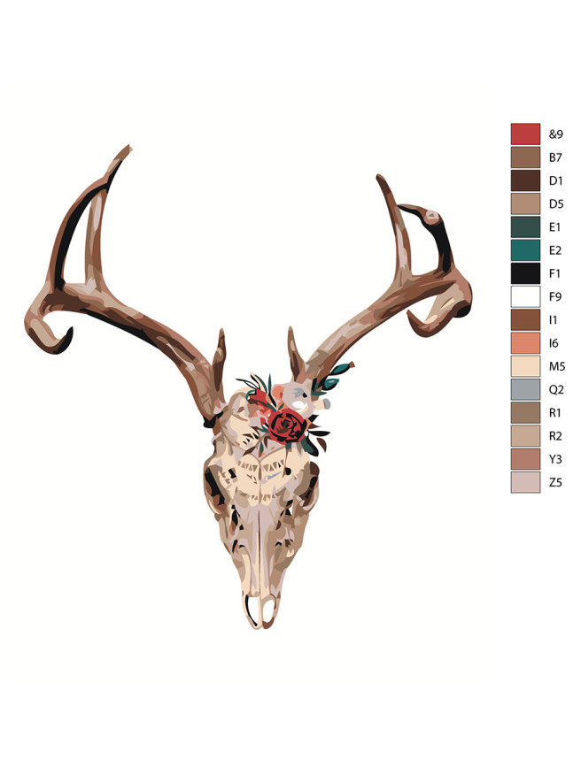 Raqamlar bo&amp;#039;yicha rasm &amp;quot;Kiyik bosh suyagi&amp;quot;