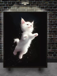 Постер на холсте &amp;quot;Прыжок белого котёнка&amp;quot;