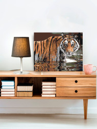 Raqamlar bo&#039;yicha rasm &quot;Yo&#039;lbars&quot;