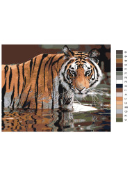 Raqamlar bo&#039;yicha rasm &quot;Yo&#039;lbars&quot;