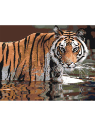 Raqamlar bo&#039;yicha rasm &quot;Yo&#039;lbars&quot;