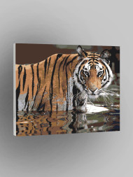 Raqamlar bo&#039;yicha rasm &quot;Yo&#039;lbars&quot;