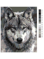 Картина по номерам &amp;quot;Серый волк&amp;quot;