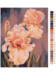 Raqamlar bo&#039;yicha rasm &quot;Bej rang&quot;