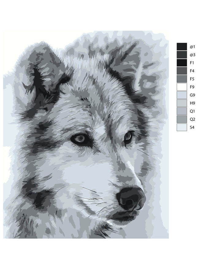 Raqamlar bo&amp;#039;yicha rasm &amp;quot;Yakka bo&amp;#039;ri&amp;quot;