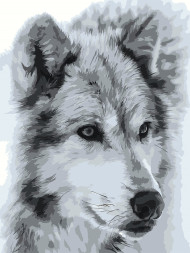 Raqamlar bo'yicha rasm "Yakka bo'ri"