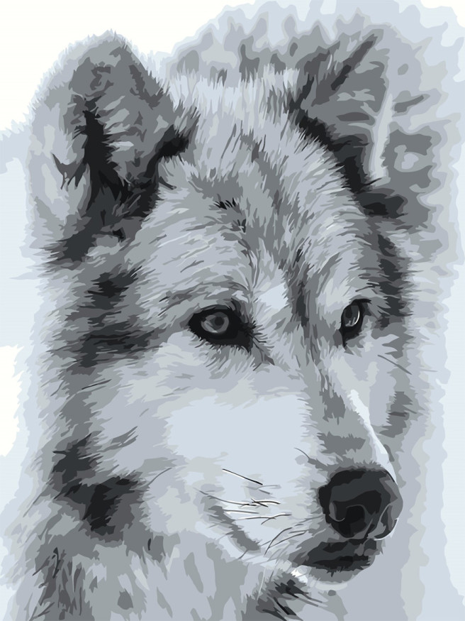 Raqamlar bo&amp;#039;yicha rasm &amp;quot;Yakka bo&amp;#039;ri&amp;quot;