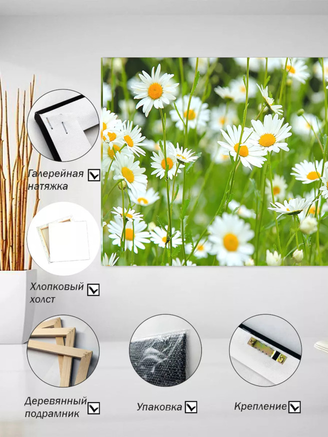 Постер на холсте &amp;quot;Ромашки в летнем поле&amp;quot;