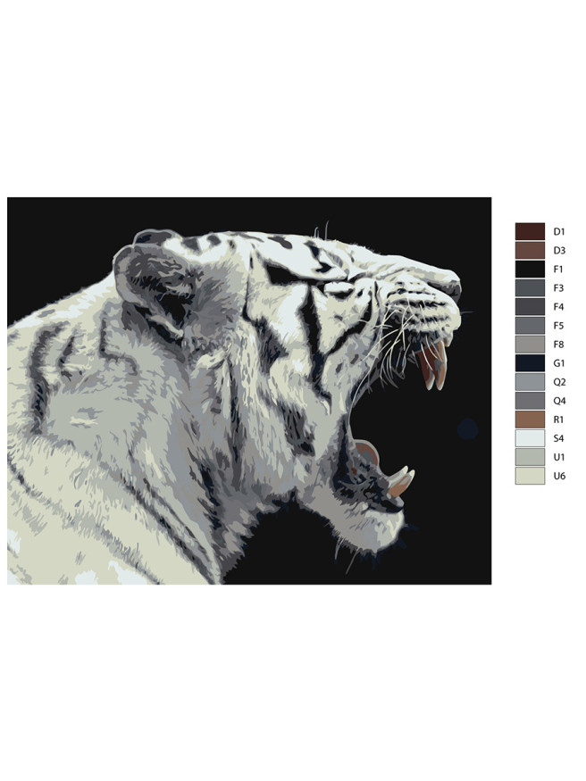 Raqamlar bo&amp;#039;yicha rasm &amp;quot;Oq yo&amp;#039;lbars&amp;quot;