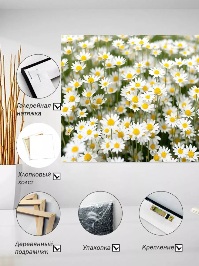 Постер на холсте &amp;quot;Поле ромашек в расцвете&amp;quot;