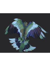 Raqamlar bo'yicha rasm " Chiroyli qush"