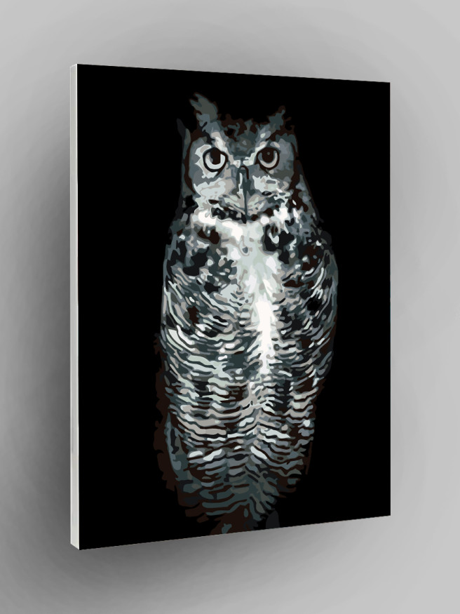 Картина по номерам &amp;quot;Серая сова&amp;quot;