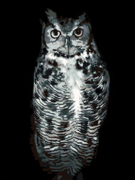 Raqamlar bo&#039;yicha rasm &quot;Kulranf ukki&quot;