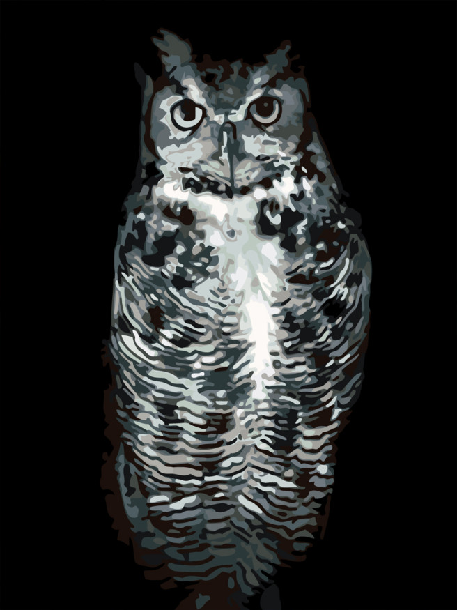 Картина по номерам &amp;quot;Серая сова&amp;quot;