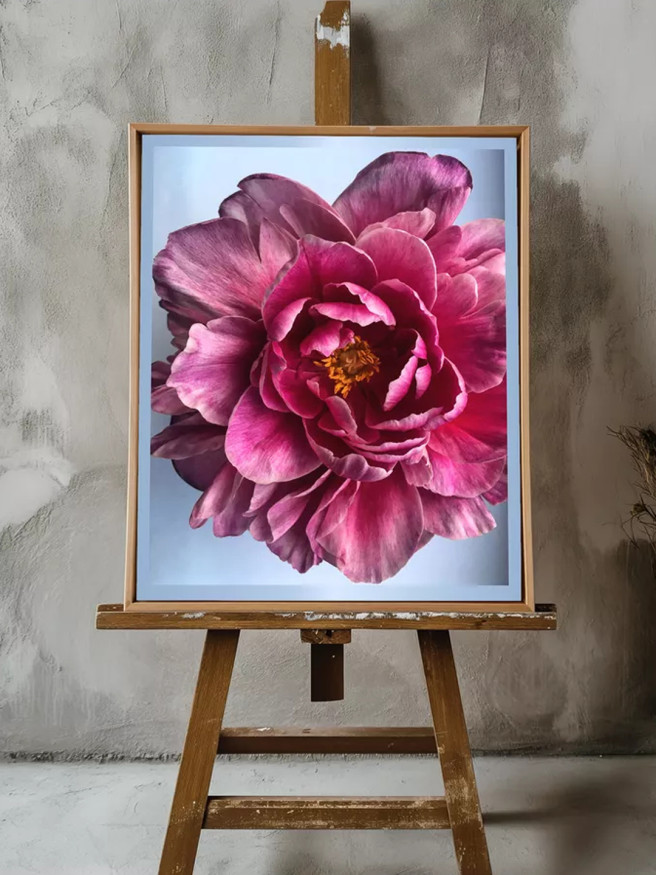 Постер на холсте &amp;quot;Розовый пион крупным планом&amp;quot;