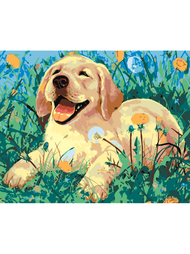 Raqamlar bo&amp;#039;yicha rasm &amp;quot;O&amp;#039;tdagi kuchukcha&amp;quot;