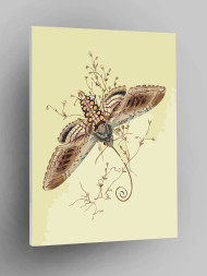 Картина по номерам "Бабочка"