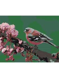 Raqamlar bo&#039;yicha rasm &quot;Filialdagi qush&quot;