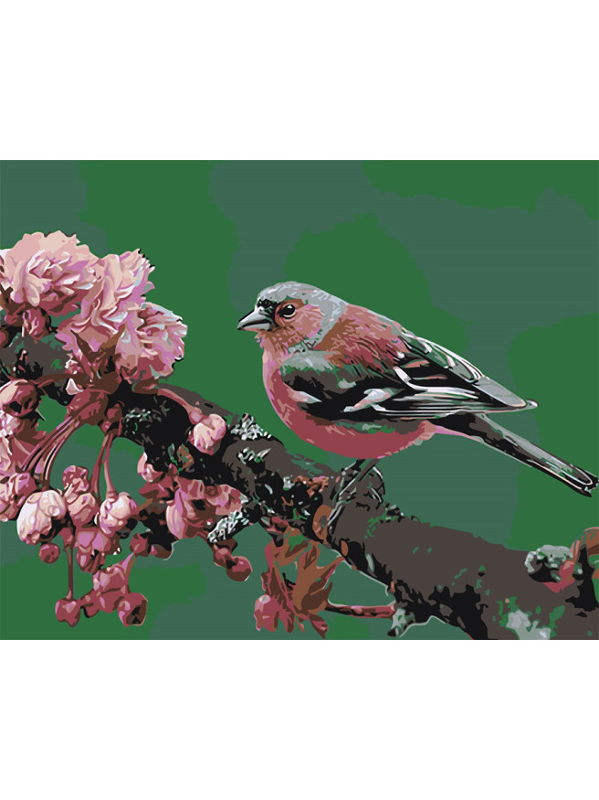 Картина по номерам &amp;quot;Птичка на ветке&amp;quot;