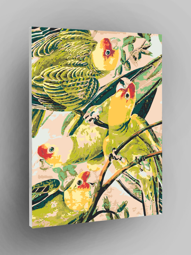 Raqamlar bo&amp;#039;yicha rasm &amp;quot;Yashil to&amp;#039;tiqushlar&amp;quot;