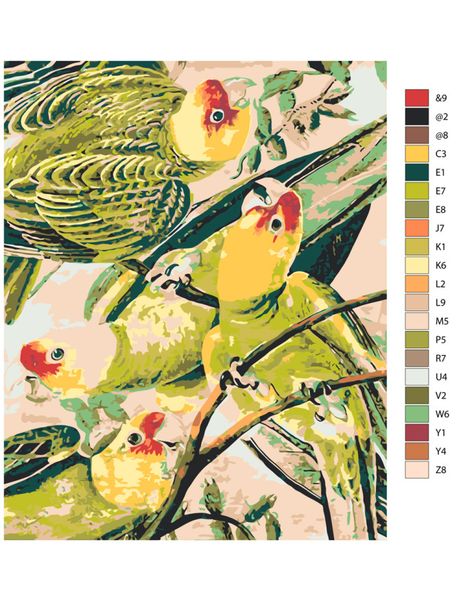 Raqamlar bo&amp;#039;yicha rasm &amp;quot;Yashil to&amp;#039;tiqushlar&amp;quot;