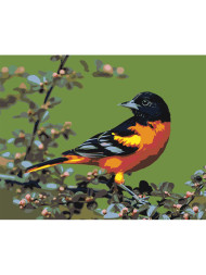 Raqamlar bo&#039;yicha rasm &quot;Gulli qush&quot;