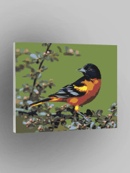 Raqamlar bo&#039;yicha rasm &quot;Gulli qush&quot;