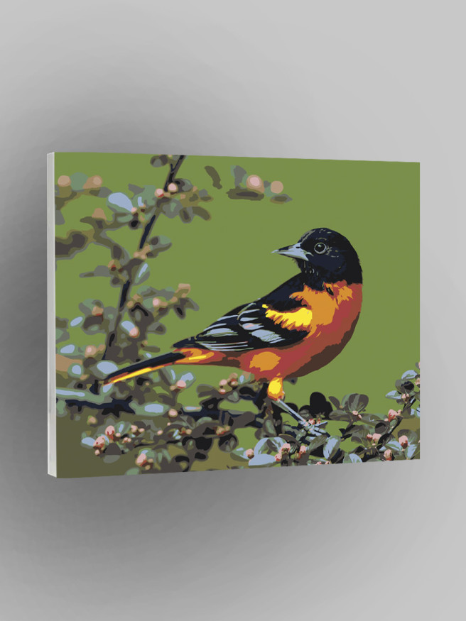 Raqamlar bo&amp;#039;yicha rasm &amp;quot;Gulli qush&amp;quot;