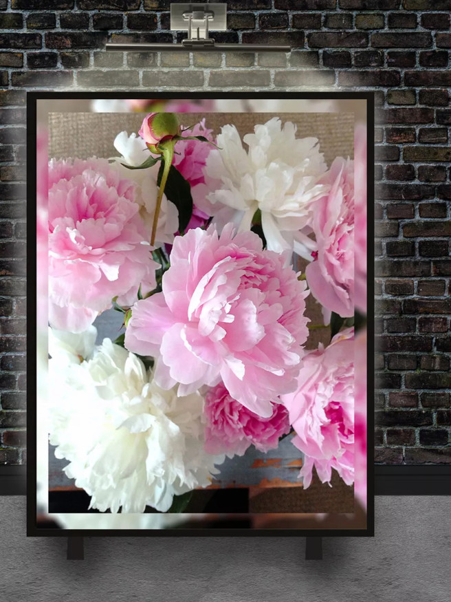 Постер на холсте &amp;quot;Розово-белые пионы в расцвете&amp;quot;