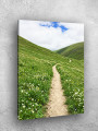 Постер на холсте &amp;quot;Горная тропа среди ромашек&amp;quot;