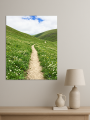 Постер на холсте &amp;quot;Горная тропа среди ромашек&amp;quot;
