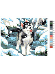 Raqamlar bo&#039;yicha rasm &quot;Sibirskiy xaski&quot;