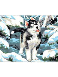 Raqamlar bo&#039;yicha rasm &quot;Sibirskiy xaski&quot;