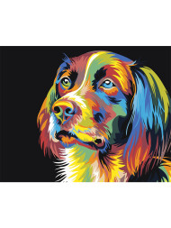 Raqamlar bo&#039;yicha rasm &quot;Ko&#039;p rangli it&quot;