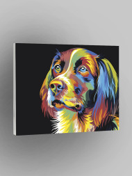 Raqamlar bo&#039;yicha rasm &quot;Ko&#039;p rangli it&quot;