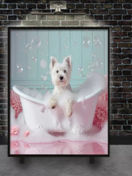 Постер на холсте &amp;quot;Белый пушистик в розовой ванне&amp;quot;