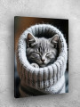 Постер на холсте &amp;quot;Котёнок в носке&amp;quot;