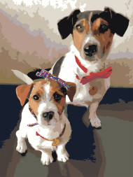 Raqamlar bo&#039;yicha rasm &quot;Bir juft it&quot;