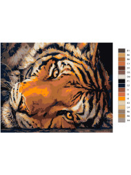 Raqamlar bo&#039;yicha rasm &quot;Yo&#039;lbars&quot;