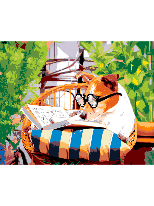 Raqamlar bo&amp;#039;yicha rasm &amp;quot;Kitobi bor kuchuk&amp;quot;