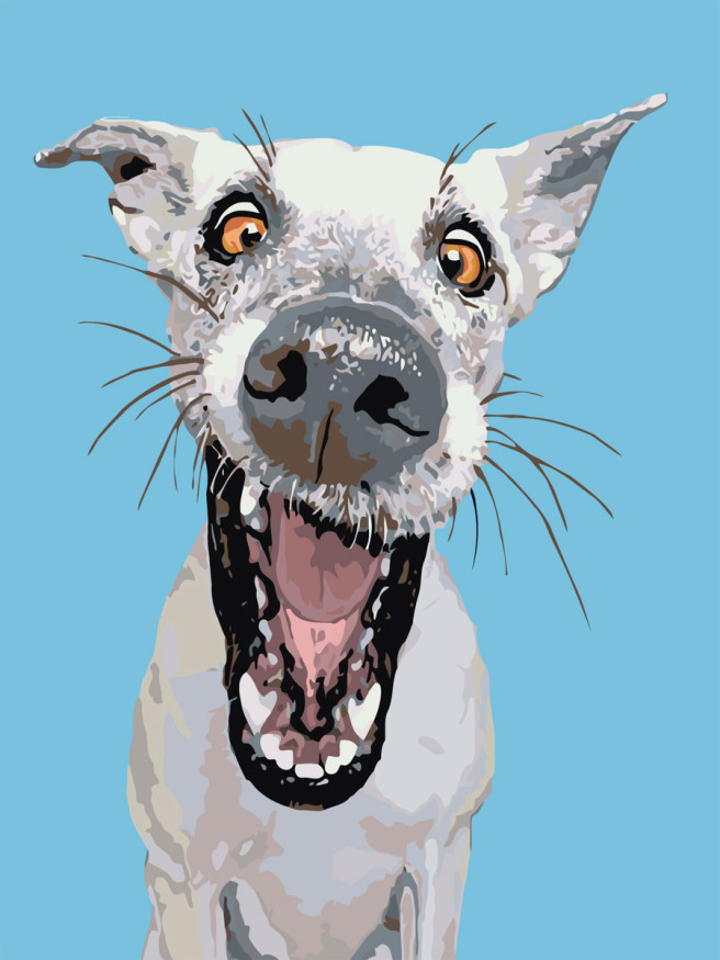 Картина по номерам &amp;quot;Весёлая собачка&amp;quot;