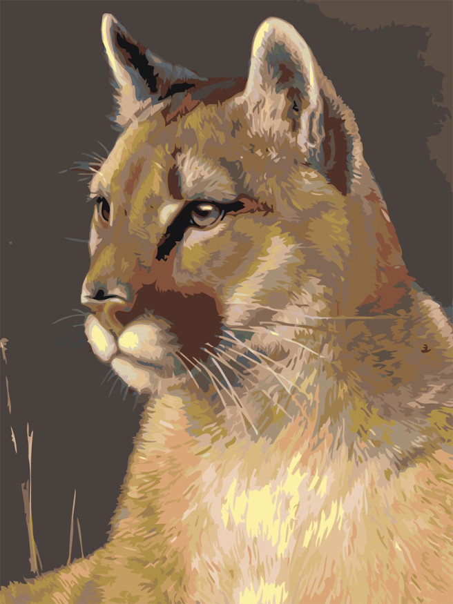 Raqamlar bo&amp;#039;yicha rasm &amp;quot;Arslon&amp;quot;