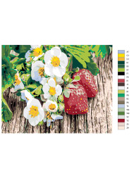 Картина по номерам &amp;quot;Цветы с клубникой&amp;quot;