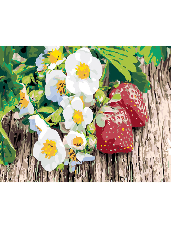 Картина по номерам &amp;quot;Цветы с клубникой&amp;quot;