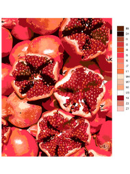 Raqamlar bo&#039;yicha rasm &quot;Anorlar&quot;