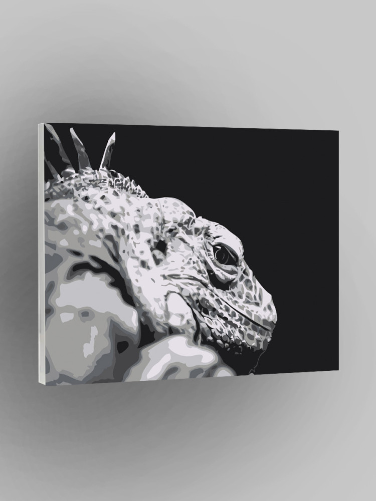 Kochada külotsiz yalangoch qizlar