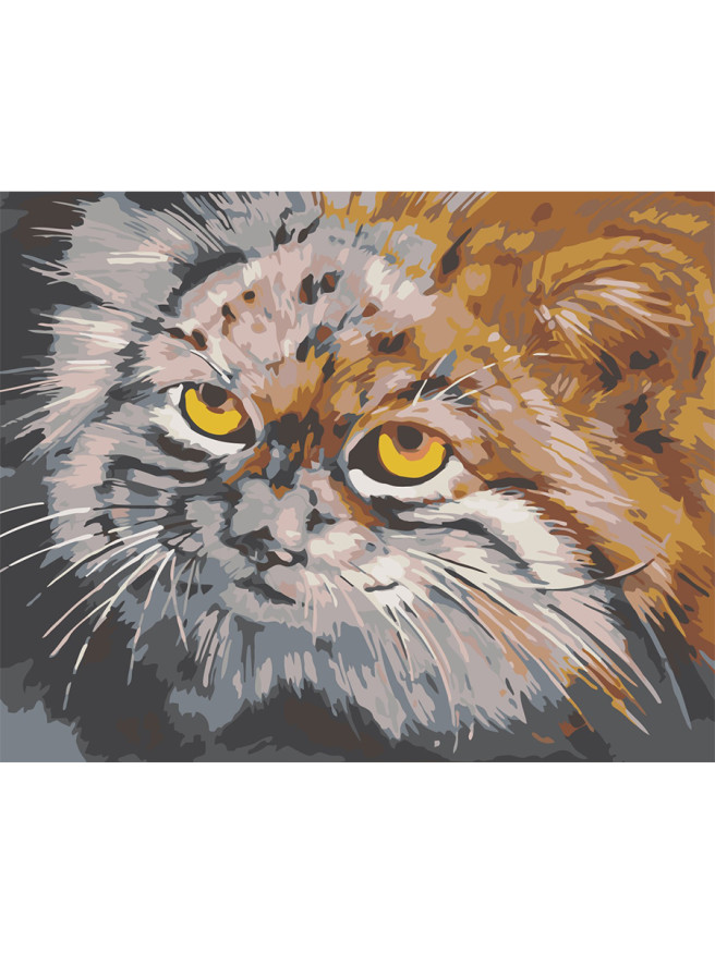 Картина по номерам &amp;quot;Смешной кот&amp;quot;