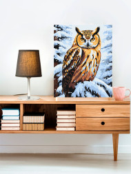 Raqamlar bo&#039;yicha rasm &quot;Qorda boyqush&quot;